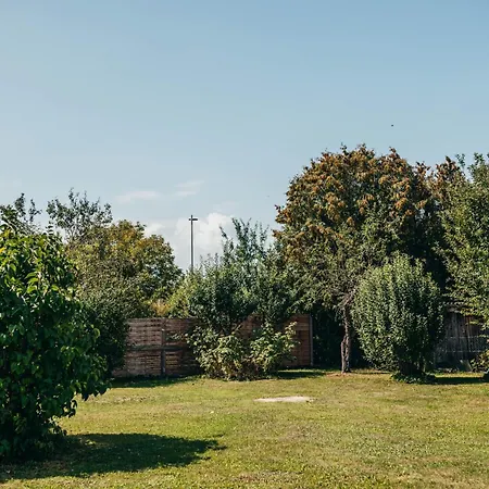 Wieselburger Homebase *